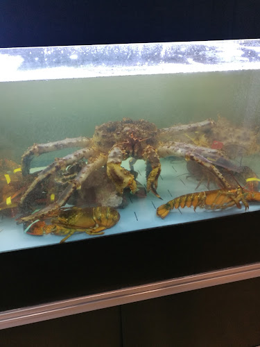 Via Giovanni Amendola, 8/2, 40121 Bologna BO