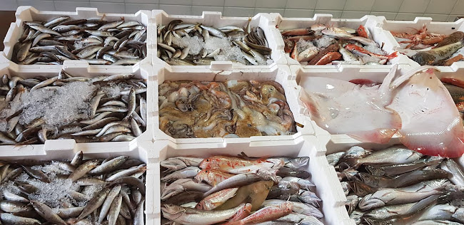 Pescheria Sapore di Mare di Manuele Luceri - Ristorazione