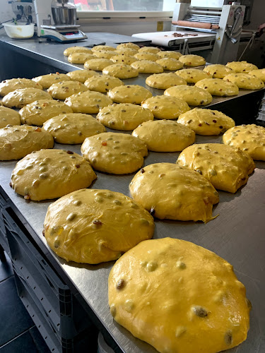 Comentarii opinii despre ROFFIOLI