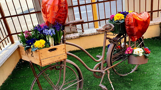 Café 47 - ELFBAR Partner Lost Mary - Verona