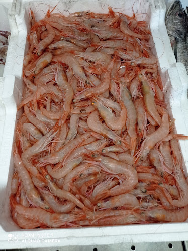 PESCHERIA SOTTOZERO - Ristorazione