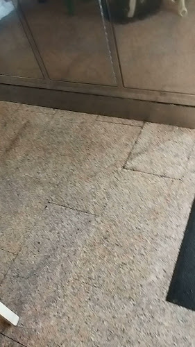 https://littleitalytadino.cristianoandpartners.it/