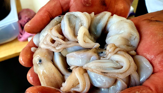 Via B. Buozzi, 1L, 53042 Chianciano Terme SI