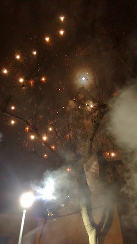 Viale IV Novembre, 12, 56025 Pontedera PI