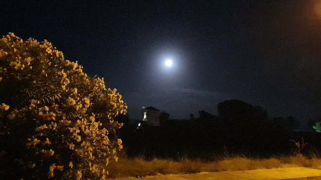 Opinii despre Ristorante Simposium în Capaccio Paestum - Ristorazione