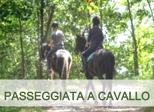 Hotel Ristorante La Ginestra - Gola del Furlo Phone number