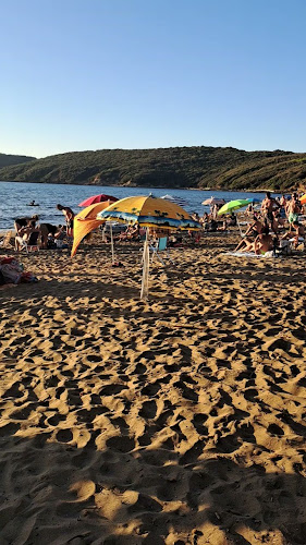 al Polpo Marino - Ristorazione