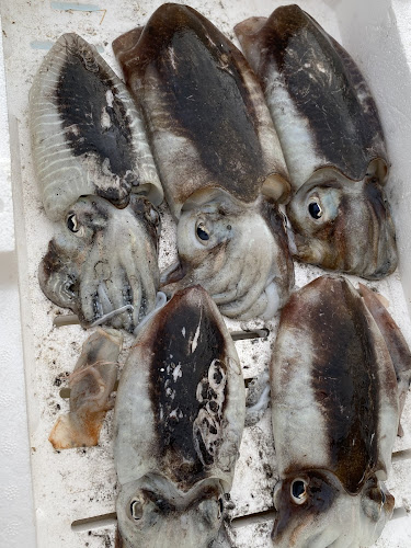 Opinii despre Home restaurant BELMONTE în San Nicola - Ristorazione