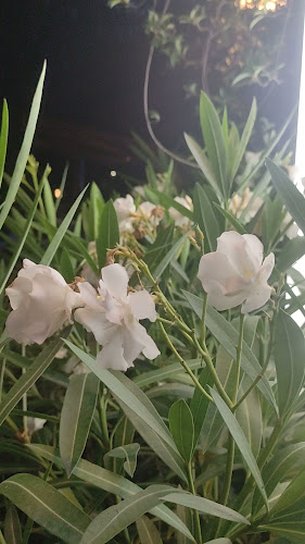 Opinii despre Blender în Milano - Ristorazione