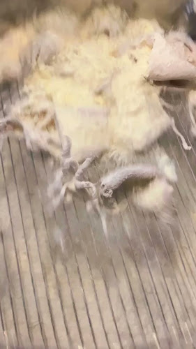 Via Botteghe Nuove, 66, 73018 Squinzano LE