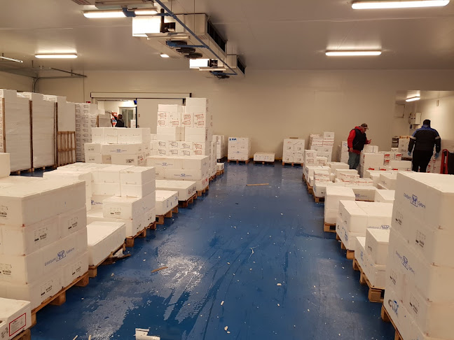 Nordfish Pescheria - Ristorazione