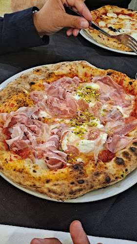 Comments and reviews of Sciauru