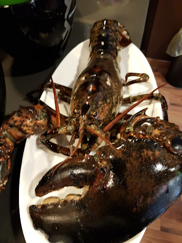 La Vineria Porta San Martino - Ristorazione