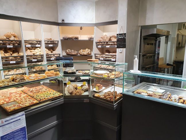 RUDIS MATERIAS - Novara