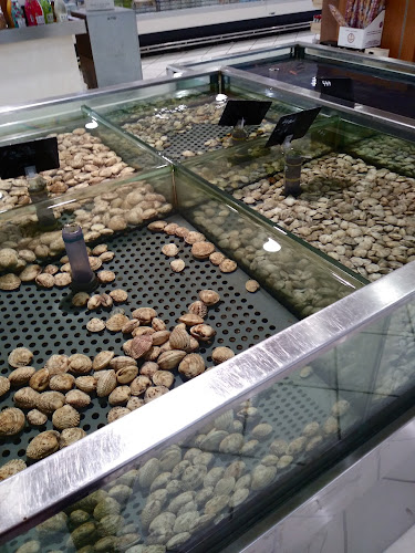 Mare Bleu - Surgelati congelati - Castellammare di Stabia