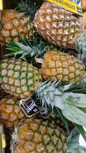 Opinii despre Ortofrutta Perini în Castiglione delle Stiviere - Ristorazione