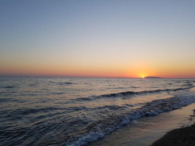 Sapore Di Pane Di Adele Scipioni - Ristorazione