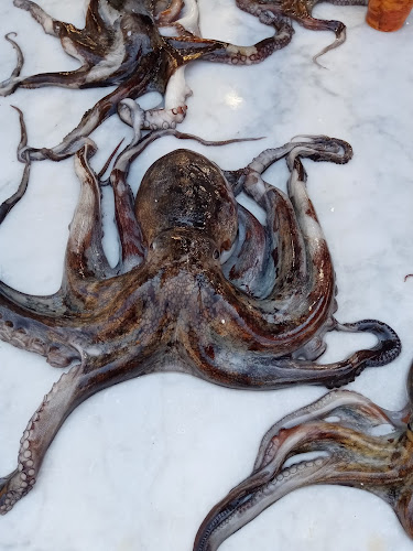 Via Emiro Giafar, 64, 90124 Palermo PA