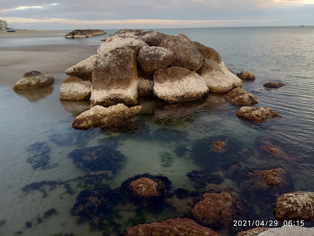 Opinii despre Bar Frontemare café în Senigallia - Ristorazione