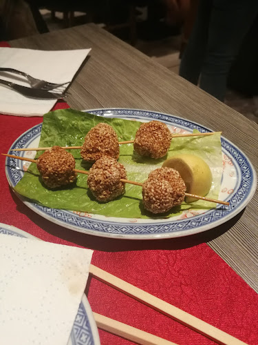 Opinii despre Ristorante Mandarino Di Zhang Sue în Albano Laziale - Ristorazione