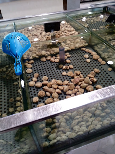 Opinii despre Mare Bleu - Surgelati congelati în Castellammare di Stabia - Ristorazione