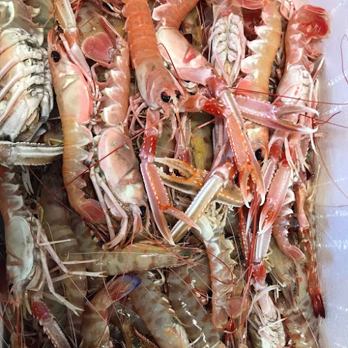 Via Lodovico Montegani, 21, 20141 Milano MI, Italia