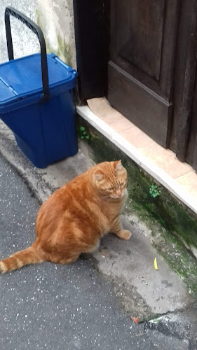 Via Scarincio, 124, 18100 Imperia IM, Italia