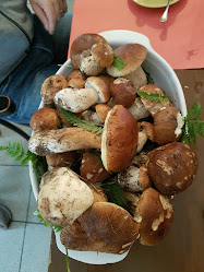 Ristorante Ge-Ri-Bar