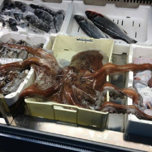 Opinii despre Pescheria da Ada în Monteprandone - Ristorazione