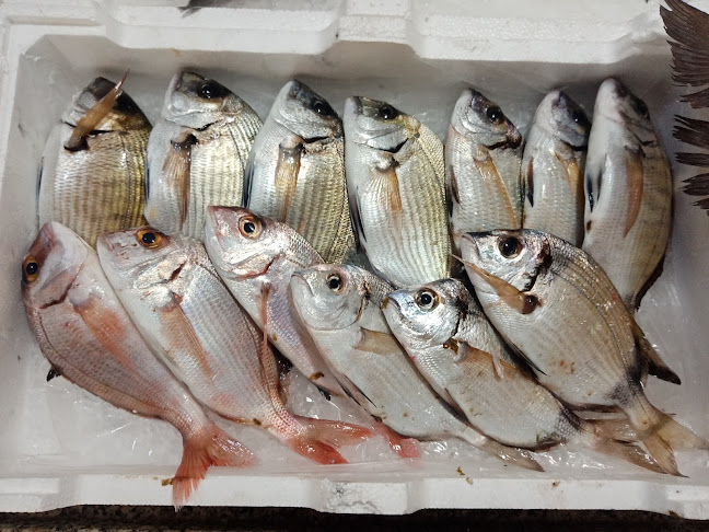 Via Conciliazione Laterano, 22, 73026 Melendugno LE