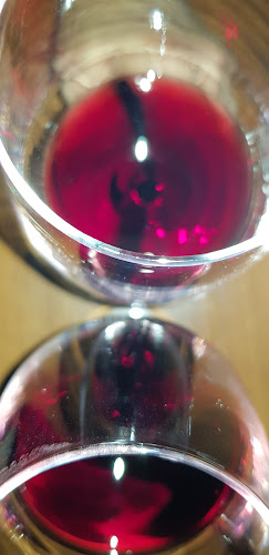 Comentarii opinii despre Il Circolino della Malpensata