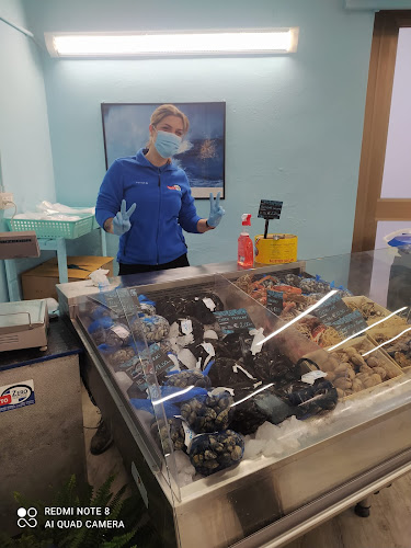 Opinii despre SottoZero Pescherie în Piombino - Ristorazione