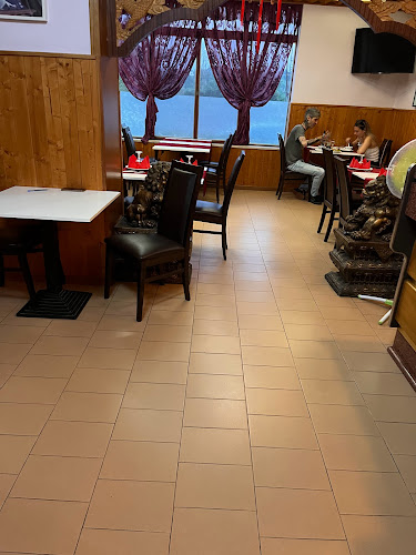 Comentarii opinii despre Ristorante Pechino di Zhou Lijiao