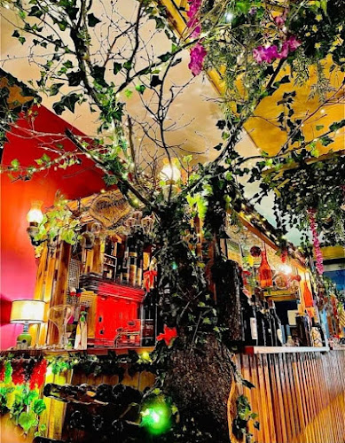 Spelonca Ristó - Ristorazione