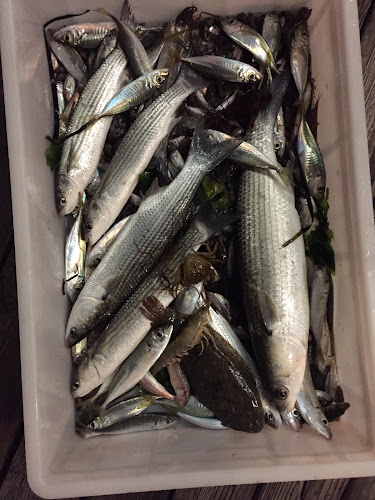 Ittiturismo da Alessandro - Sottomarina