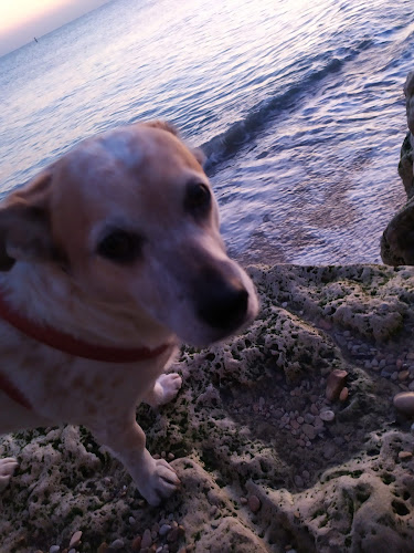 Via Faleria, 36, 63821 Porto Sant'Elpidio FM