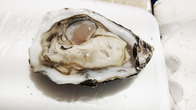 Il Cozzaro Nero Cagliari - Ristorazione