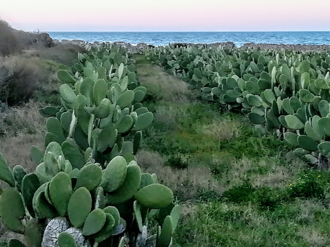 F.LLI ALTAMURA srl - Molfetta