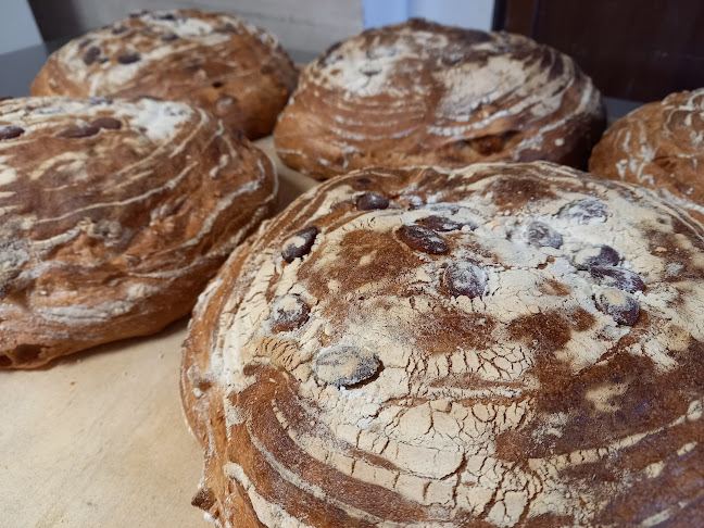 Comentarii opinii despre Ops osteria della pizza a spasso