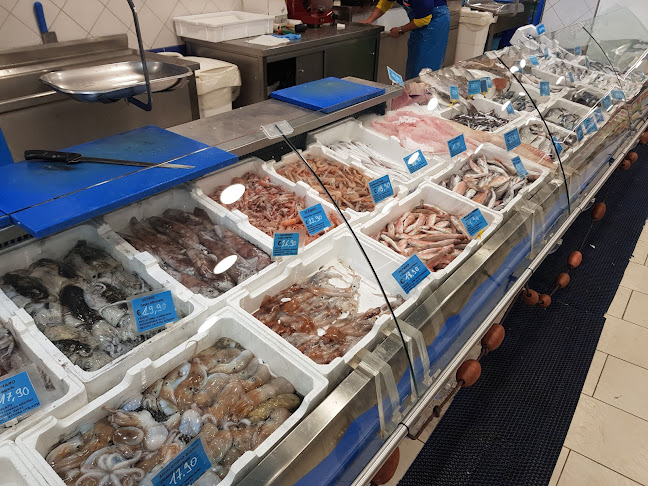 PESCHERIA FRA.GY. - Ariccia