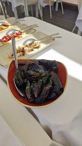 Comentarii opinii despre Frontemare