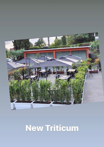 Pizzeria Bisteccheria Triticum - Roma