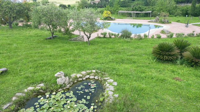 Ristorante Il Daino Open Times