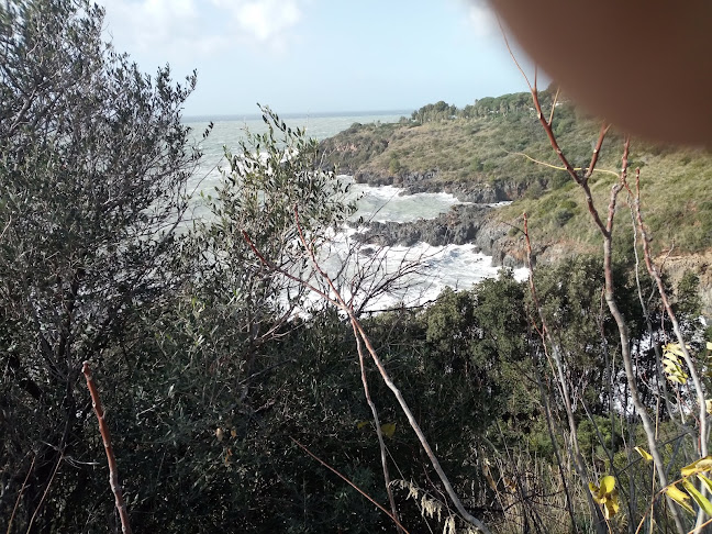 Da Tino's Pizzetteria Paninoteca - Scalea