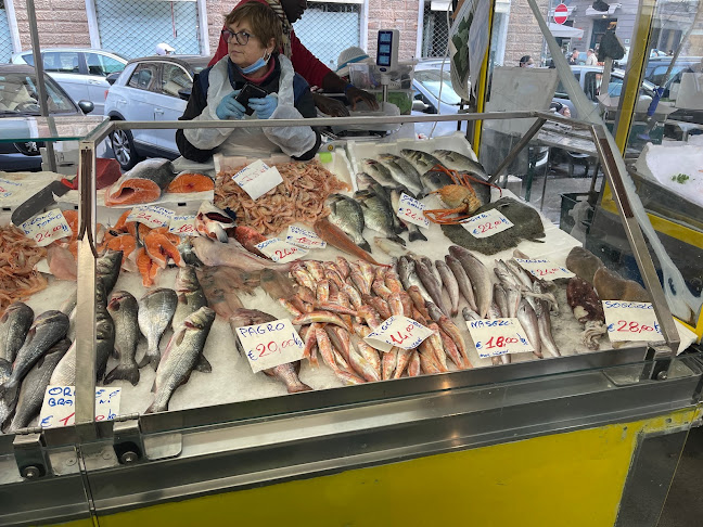 mercato-e-ittico.guzs.com