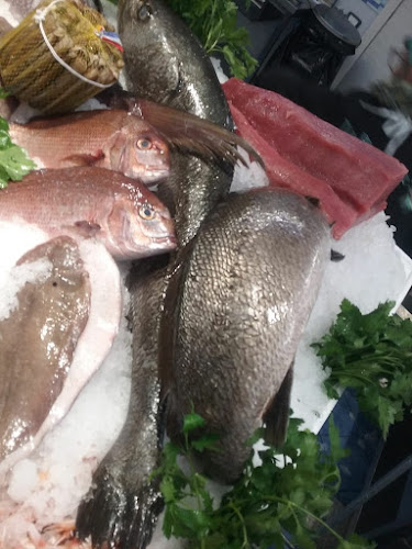 Via Madonna del Campo, 237, 00033 Cave RM