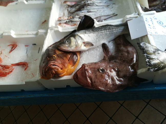 Opinii despre Pescheria Marconi în Casavatore - Ristorazione