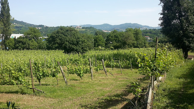 Comentarii opinii despre Pratola Serra