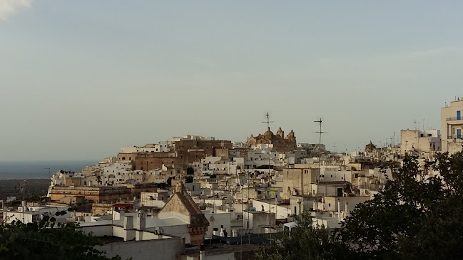 Pizzamania Di Mingolla Dario Tel. 3312939112 - Ostuni