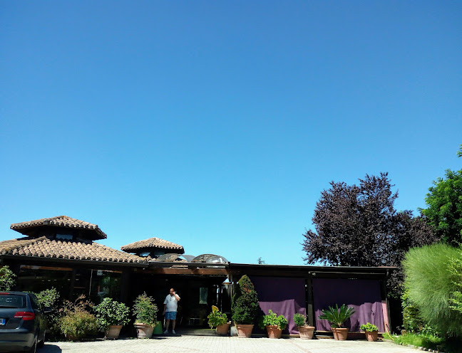 Bibenda Cafe' - Ristorazione